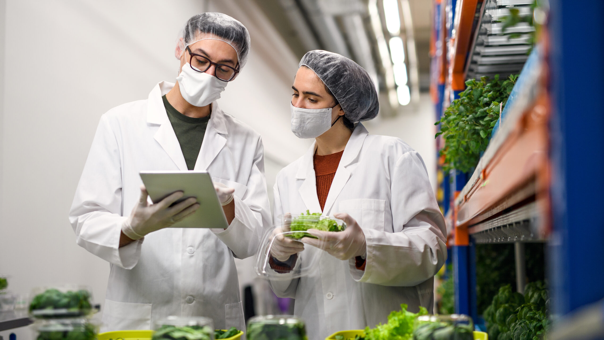 Food Safety Training